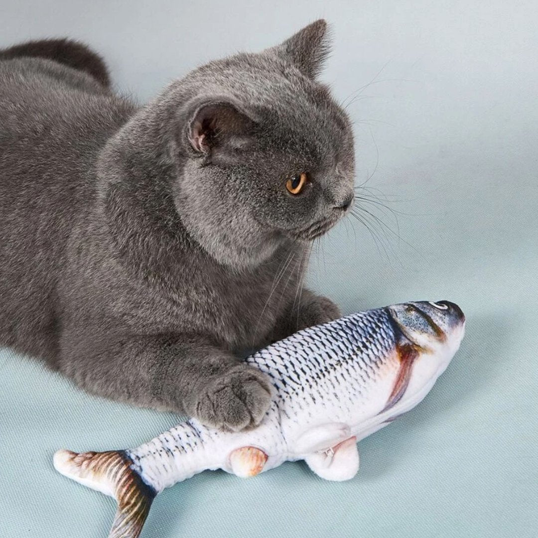 Juguete pez saltarín recargable para gato GENERICO